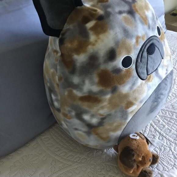 Squishmallows Large Ballis The French BullDog 16" RARE Plush Toy & Puppy Friend - Picture 4 of 8